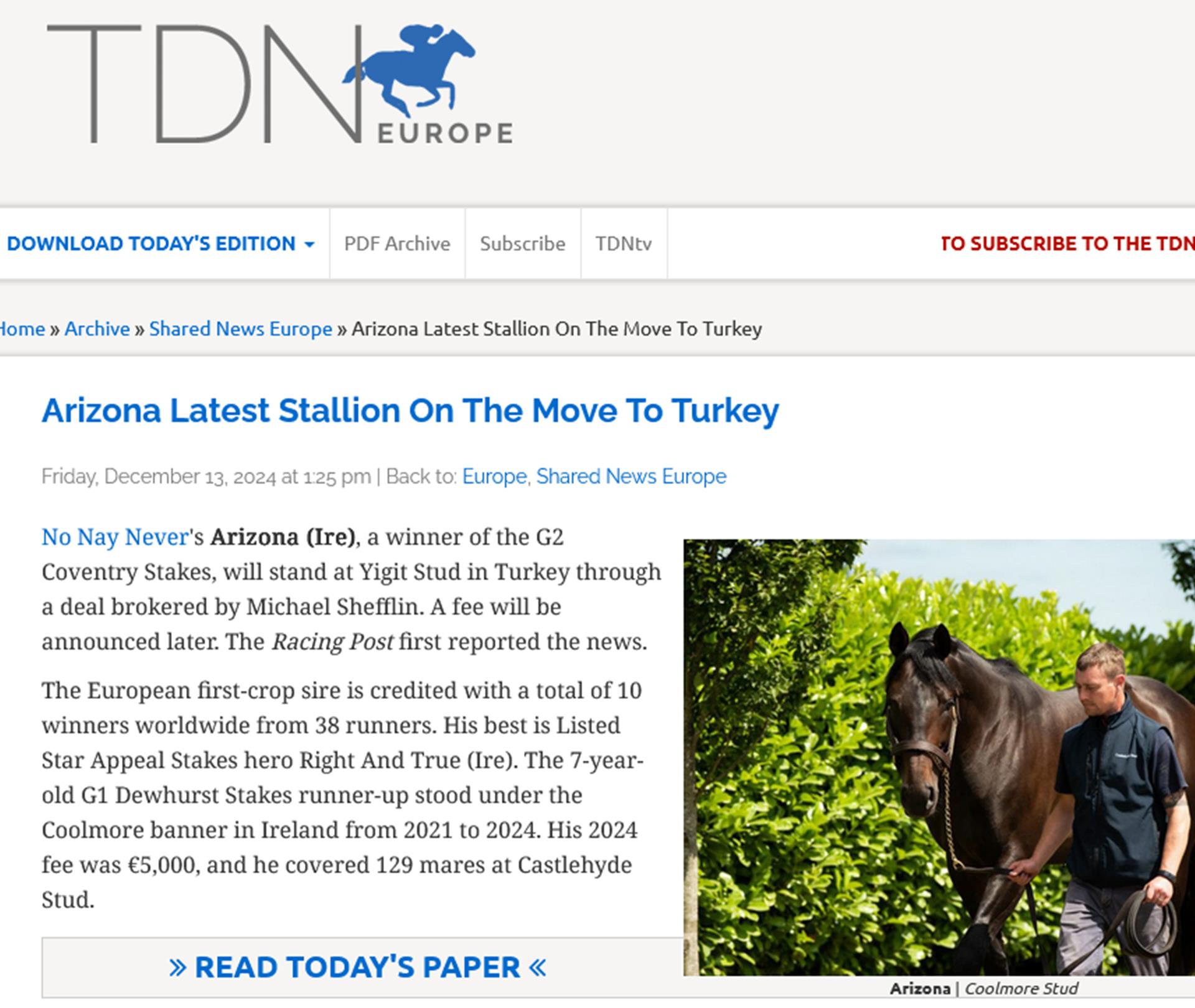 Arizona Latest Stallion On The Move To Turkey