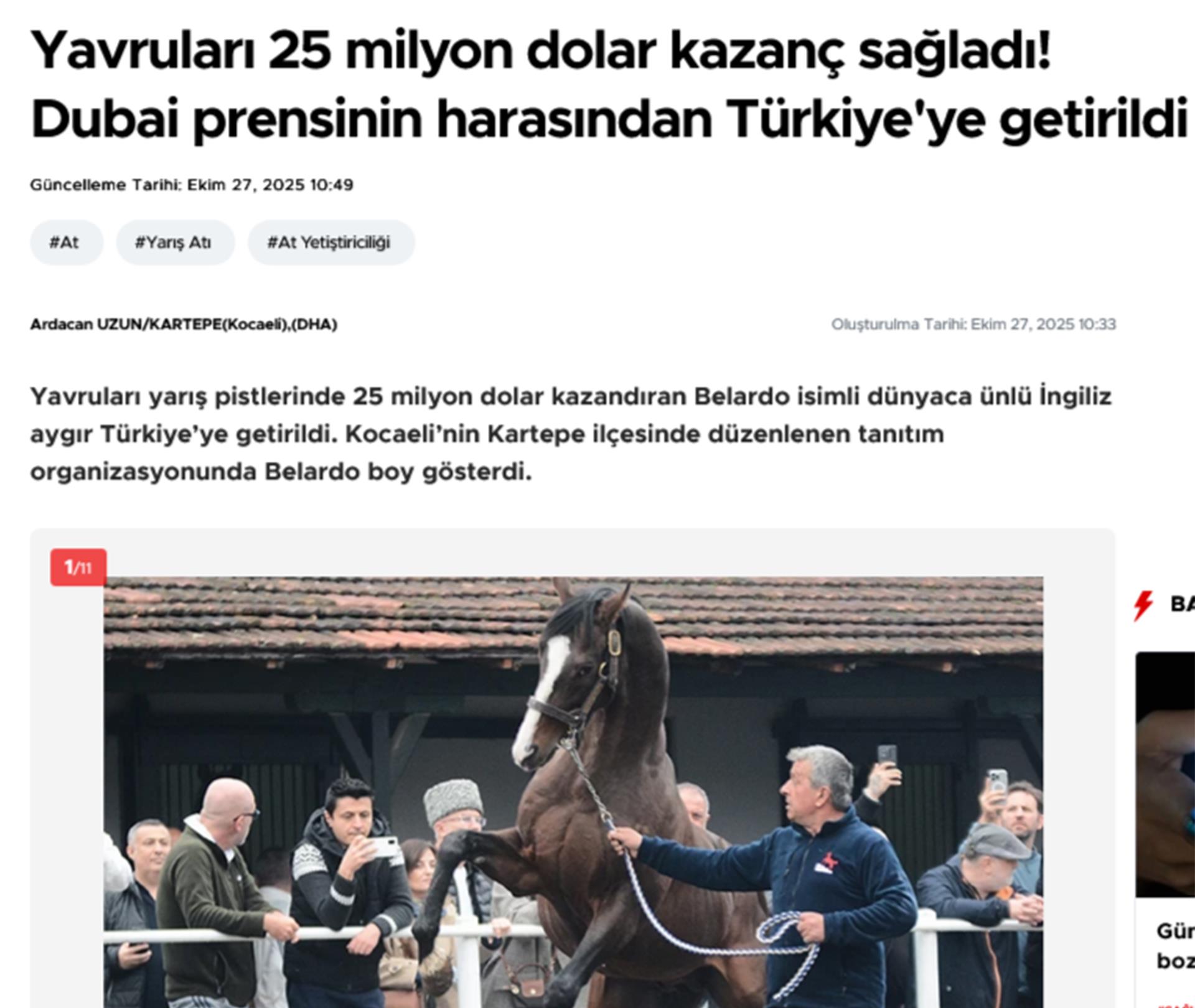 Dubai prensinin harasından Türkiye'ye getirildi!