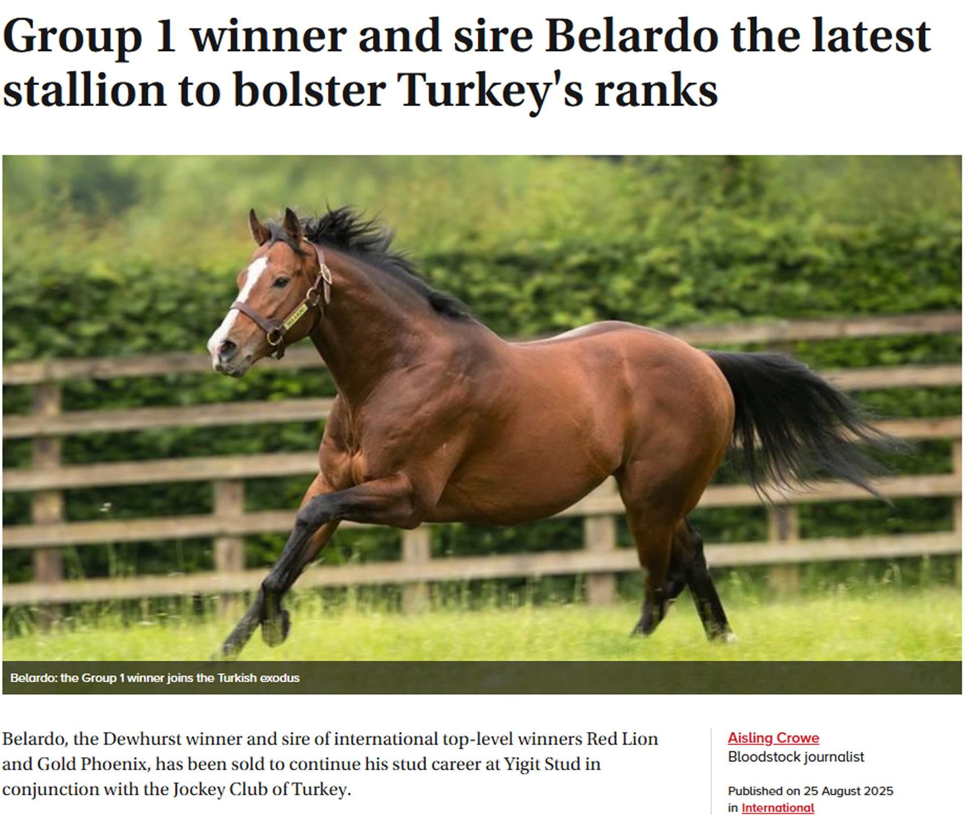 Group 1 winner and sire Belardo the latest stallion to bolster Turkey's ranks