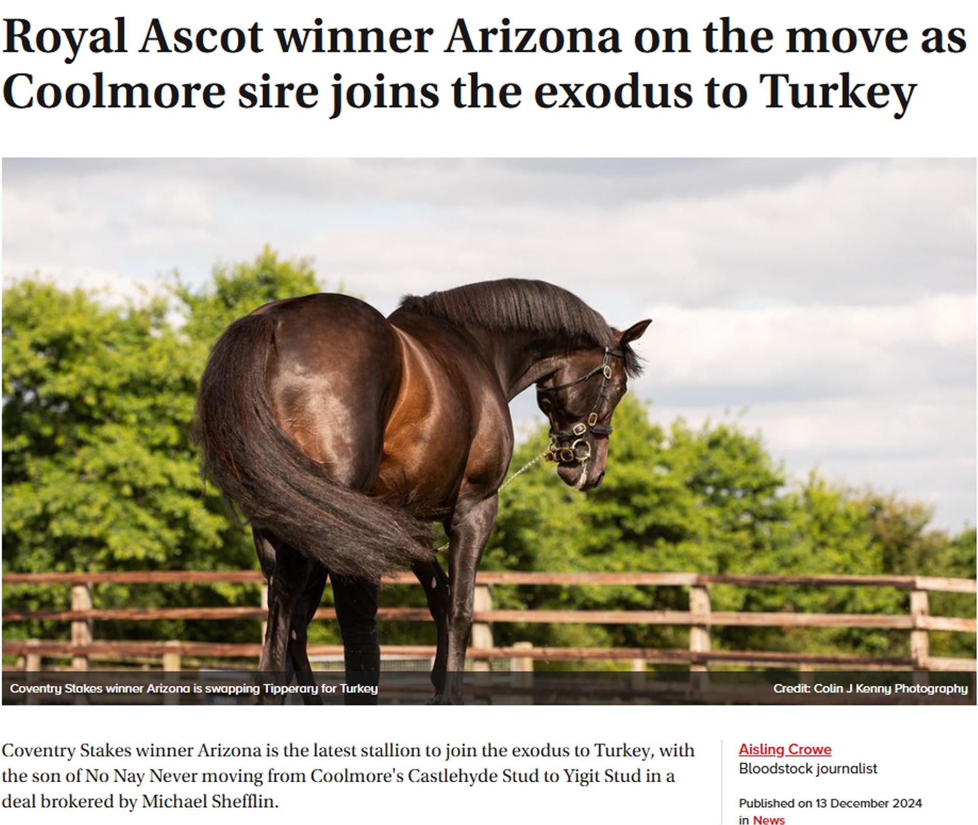 Royal Ascot winner Arizona on the move as Coolmore sire joins the exodus to Turkey